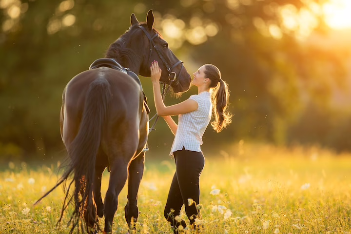 What a Horse Taught me about Violin